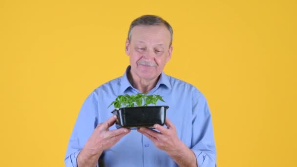 一位男性农民照顾幼小的植物 手里拿着幼芽 看着幼芽 有机食品的概念 — 图库视频影像
