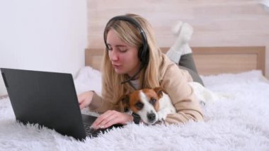 Çevrimiçi iş. Serbest çalışan genç bir kız evinde, yatağında dizüstü bilgisayarıyla çalışıyor. Yanında da sevimli bir köpek yatıyor. Mesafe öğrenme. Ev kavramından çalış. hayvanlar ve insanlar