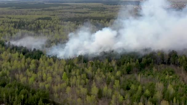 Veduta Aerea Dell Inizio Incendio Nella Foresta Fumo Sulla Foresta — Video Stock