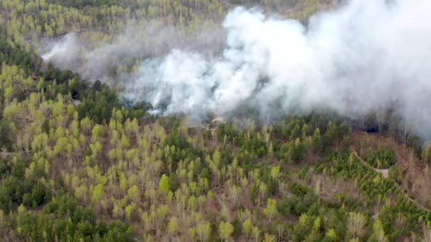 Vista Aérea Del Inicio Incendio Bosque Humo Sobre Bosque — Vídeos de Stock