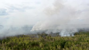 Hava manzaralı. Büyük duman bulutları ve ateş yayılmış. Ormanda sigara iç.