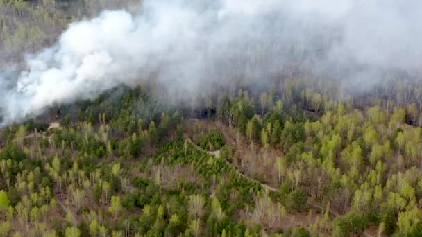 Vue aérienne du début d'un incendie dans la forêt. Fumée sur la forêt 