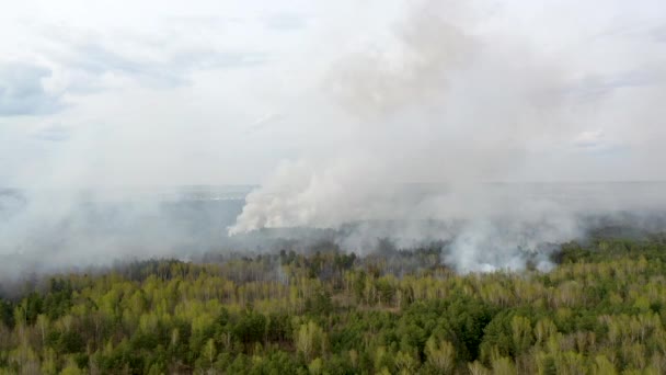 Vue aérienne Gros nuages de fumée et propagation du feu. Fumée sur la forêt 