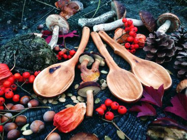 Woodwork, tahta kaşık, renkler sonbahar, mantar hasat