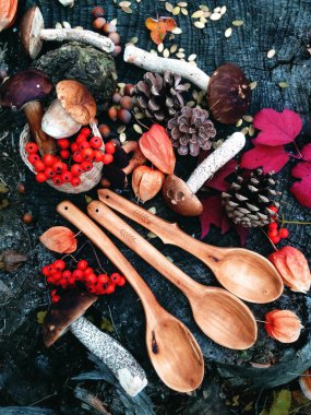 Woodwork, tahta kaşık, renkler sonbahar, mantar hasat