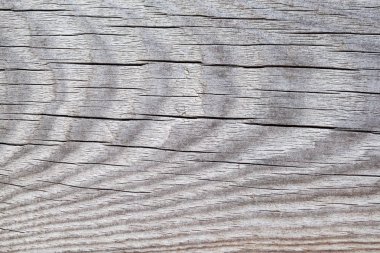 Doğal ahşap arka plan clouse-up