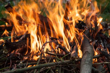 Ahşap yakma detayları kapatın