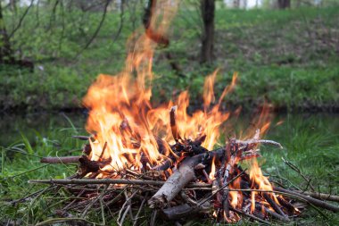 Ahşap yakma detayları kapatın