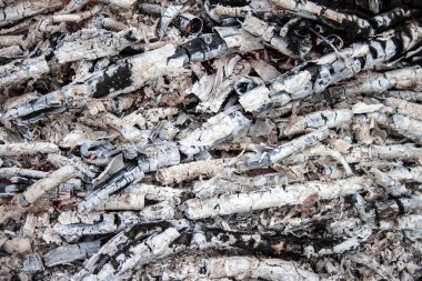 Kömür ve odun kül kapat