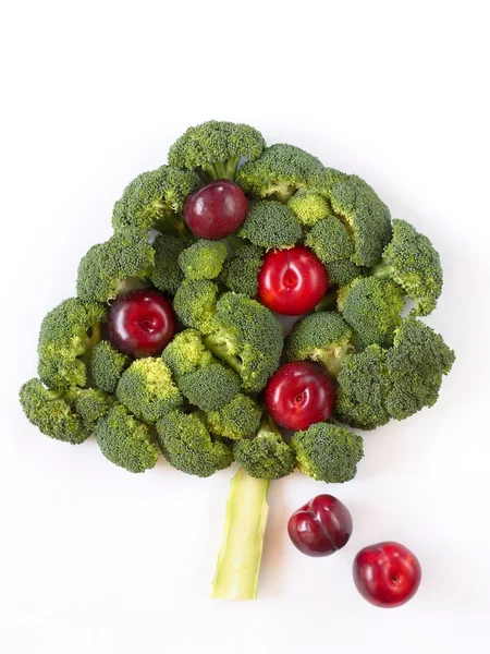 Tree made of broccoli and plums