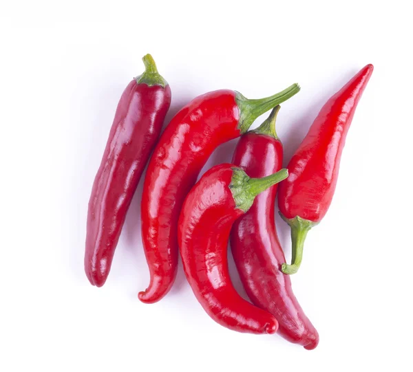 Chilipeppar isolerade — Stockfoto