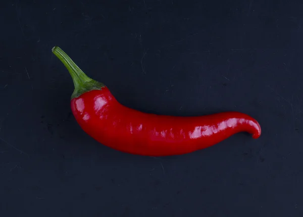 Egy chili paprika — Stock Fotó