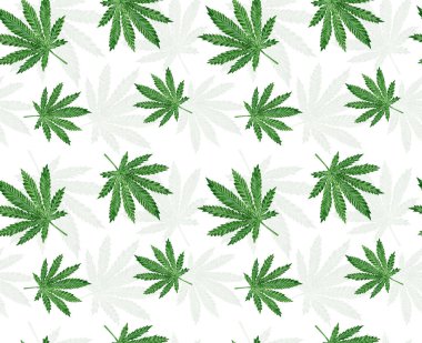 Sulu boya ile boyanmış kusursuz yeşil kenevir yaprakları.