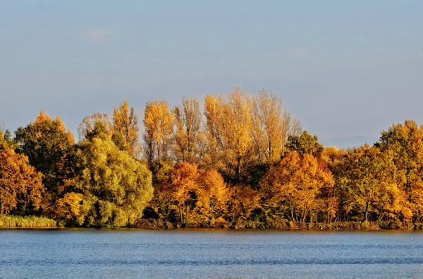 Gyllene hösten landskap vid en sjö — Stockfoto