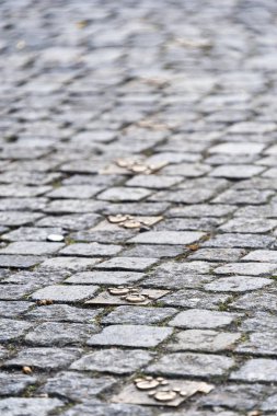 Kaldırım taşı kaldırım bronz pençe ayak sesleri ile
