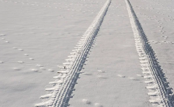 Jeden samochód ślady w śniegu — Zdjęcie stockowe