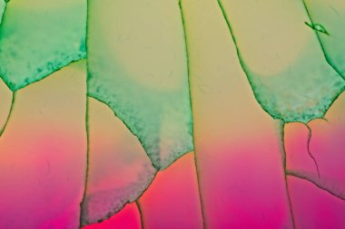 Florit ejderha ven kristal yakın kesme