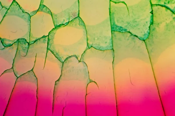 Fluorit dračí žíly crystal cut zblízka — Stock fotografie