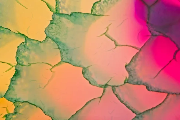 Fluorit dračí žíly crystal cut zblízka — Stock fotografie