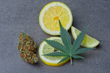 Kenevir tomurcuğu ve limonlu yaprak