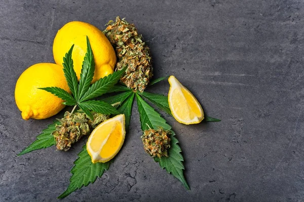 大麻の芽とレモンの葉 — ストック写真