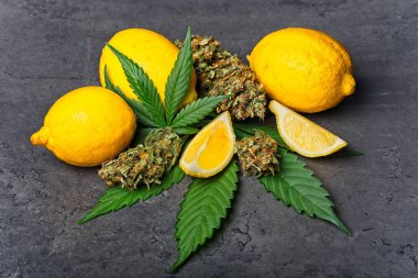Esrar tomurcukları ve limonlu yapraklar