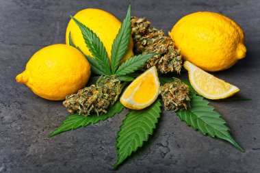 Esrar tomurcukları ve limonlu yapraklar