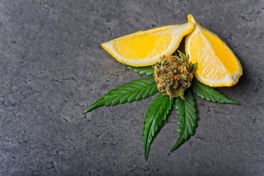 Esrar tomurcukları ve limonlu yapraklar