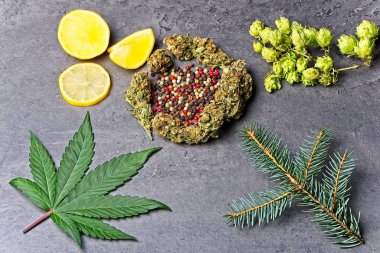Zıpzıp, biber, limon ve köknar iğneleriyle kenevir tomurcuğu ve yaprak