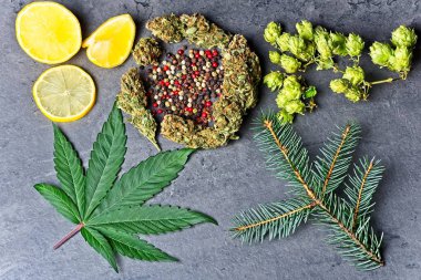 Zıpzıp, biber, limon ve köknar iğneleriyle kenevir tomurcuğu ve yaprak