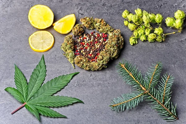 Terpeny