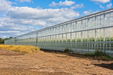 Büyük modern endüstriyel sera