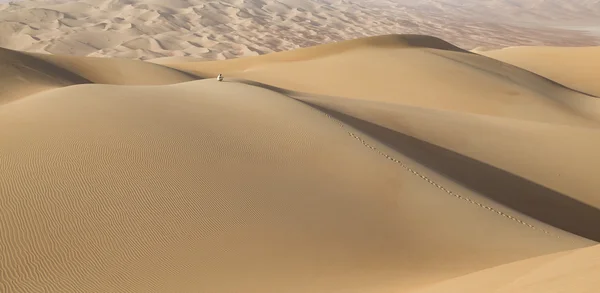 Dunas do deserto de Empty Quarter — Fotografia de Stock