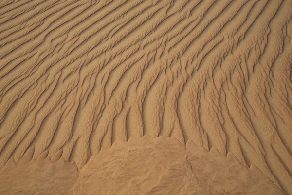 Pouštní duny Empty Quarter — Stock fotografie