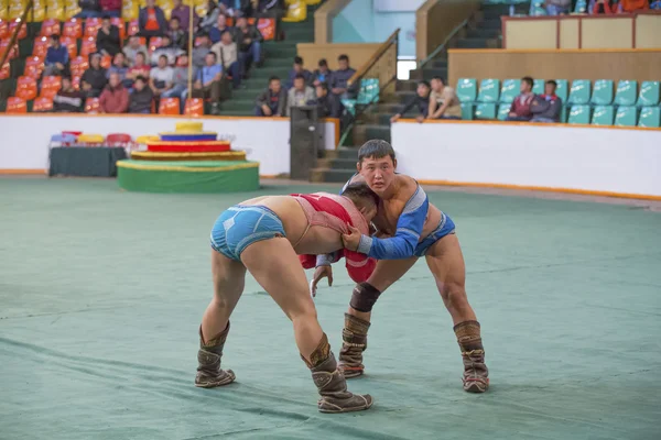 Moğol güreş karşılaşması — Stok fotoğraf