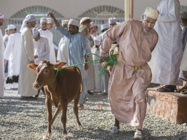 Nizwa keçi ve cettle açık artırmada