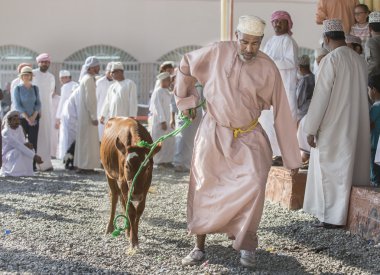 Goat and cattle auction in Nizwa clipart