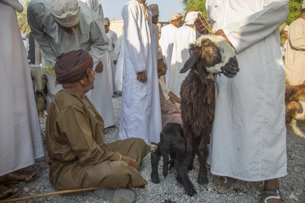 Senior man verkopen van geiten — Stockfoto