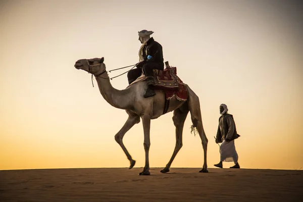 Человек на верблюде в пустыне — стоковое фото