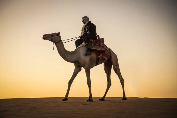 Hombre en un camello en un desierto — Foto de Stock