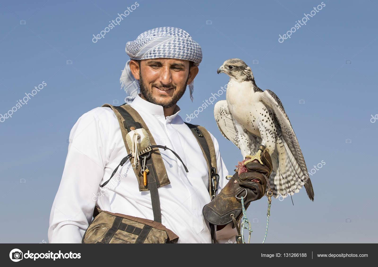 Falconer treinando Peregrine Falcon no deserto — Fotografia de Stock