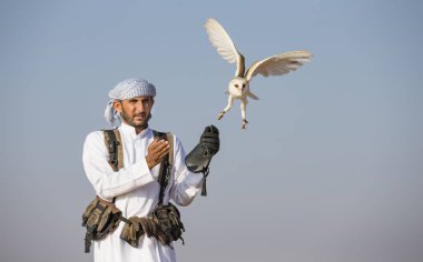 Peçeli baykuş çölde eğitim falconer 