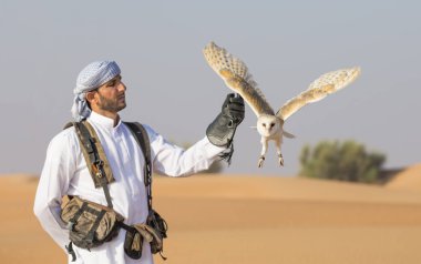 Peçeli baykuş çölde eğitim falconer 