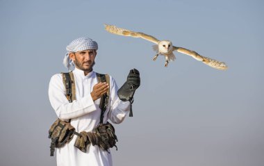 Peçeli baykuş çölde eğitim falconer 