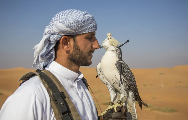 砂漠でハヤブサの訓練ファルコナー — ストック写真