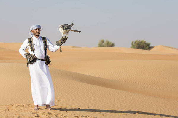 Falconer training Peregrine Falcon in desert 