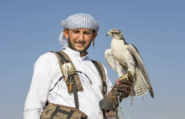 Falconer training Peregrine Falcon in desert — Stock Photo, Image