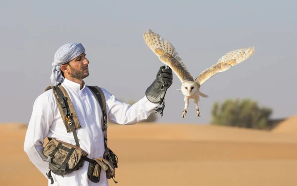 Falconer træning Barn Owl i ørkenen - Stock-foto