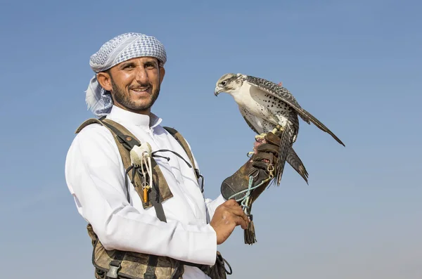 Falconer treinando Peregrine Falcon no deserto — Fotografia de Stock