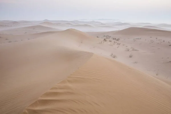 Névoa no deserto durante o nascer do sol — Fotografia de Stock